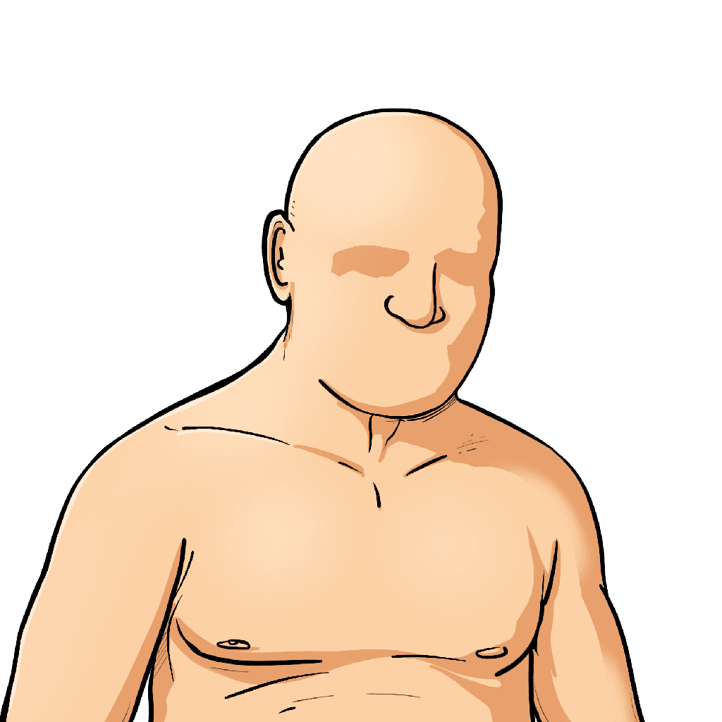 Body